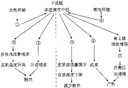 三、  生理定位与特定系统的病理表现
