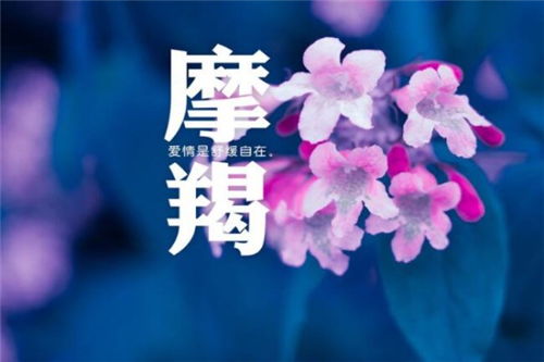 2026年摩羯座属鸡全年运势详解，11月运势具体意味着什么？