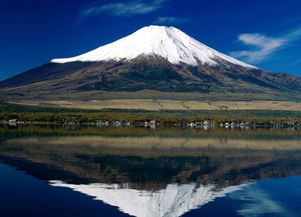 第一章：为什么要定制游？主要原因是跟团太傻X了！