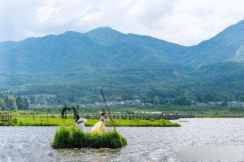 北海湿地错峰指南:10月底草排比银杏更治愈