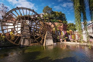 吃喝玩乐里的那些坑爹事儿