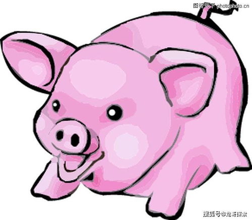 你嫩猜出这十二个动物分别代表什么生肖吗？