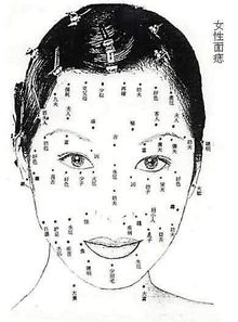 不同类型毛痣的具体解读
