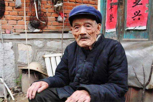 2026年属狗人的八字运势和命理具体意味着什么？