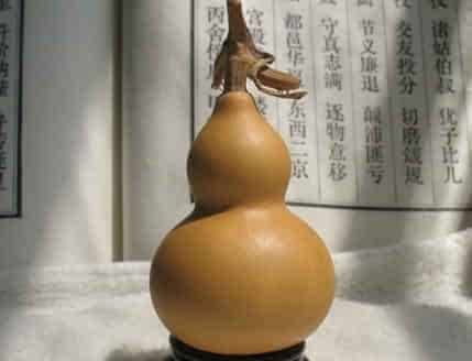 阳台种植葫芦需要注意哪些风水禁忌？