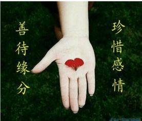 女命八字中官星逢冲，这样的婚姻感情运势是否容易出现波折呢？