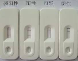标题改名学：一波乱世孕期试纸