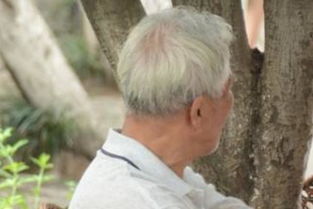 女人梦见给别人梳头发预示着什么？有什么特殊含义？