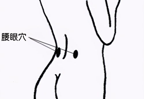 百年好合的百年指的是哪个生肖，它与哪个生肖相配？