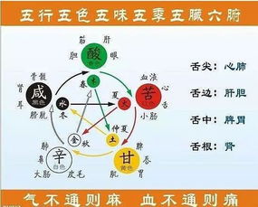 一、 “无情之水”之概念及其七大恶水的内涵