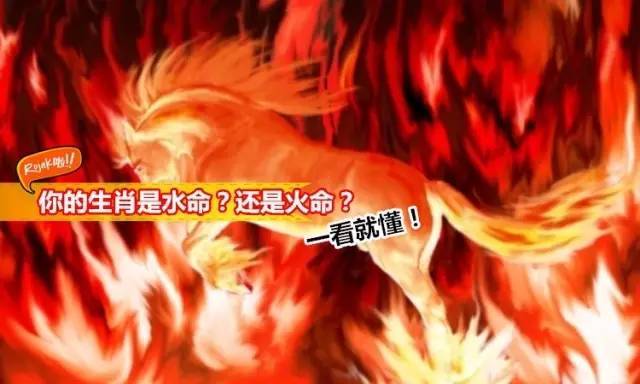 水命与火命的相遇