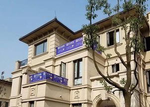 沈阳龙湖天奕风水公司，哪家更专业？