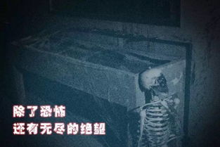 一、  ：恐惧机制与空间场域的崩塌