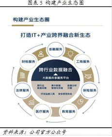 平台优势与运营策略的综合考量