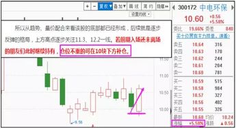 概念界定与理论框架
