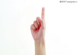 与手相似的字有哪些，能否提供一些手相同的字？