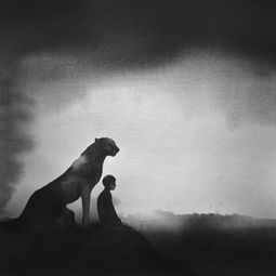 美感与意境：抽象元素的运用