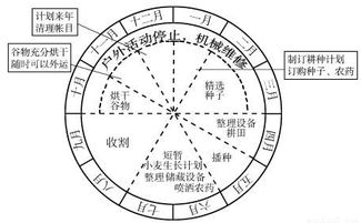 1. 时辰分布概览