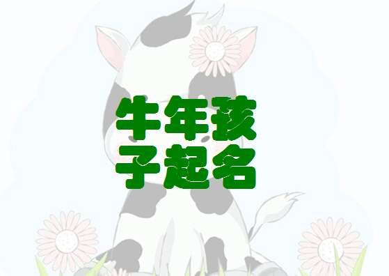 男性群体的名字