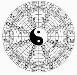 骨相禁忌：命运占卜法中的社会镜像