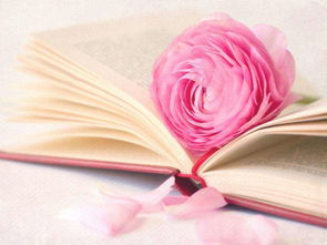 1. 地理环境对生命运程的潜在影响