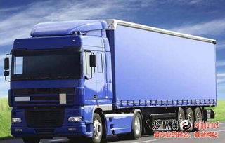 (4) 法规合规性审查与商标注册预评估同步进行