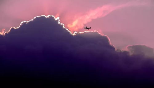 梦见天上有美丽的景色是什么吉凶预兆？