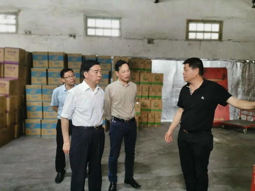 国内粮食平安的战略定力与技术支撑