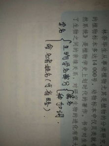 一、 辛未路旁土命的命理特征：天时地利与禀赋