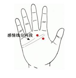 三、近代手相学的视角：左右手的互补性