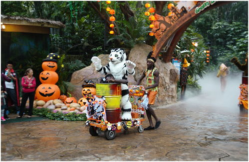 活动内容炸裂！胆小如鼠的请绕道！