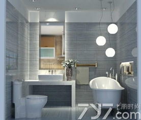 3. 镜子面对马桶所致财运流失