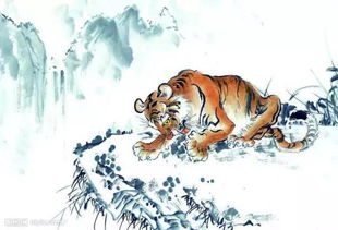 74年出生的属虎男和83年出生的属猪女八字相配吗？