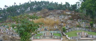 梦见坟地风水好，看坟地预示着什么吉凶？