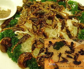 到底是昆明还是怒江？我以经晕头转向的地理位置解析