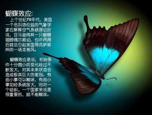 “蝴蝶效应”：搭配哪些字才能让名字更有灵魂？