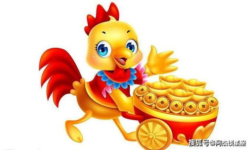 每日生肖打麻将运势是什么，代表今日运势及幸运颜色搭配？