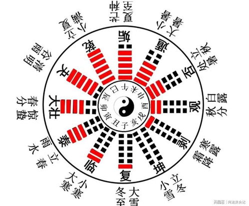 干支排卦及元素互动关系