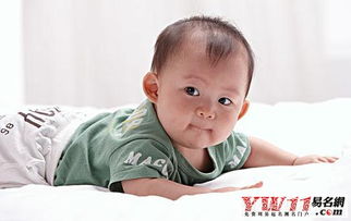 前言：惯与蛇宝宝和一些家长的心路历程