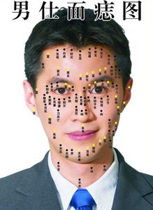 四、 现代青年对容貌关注度提升背景下的文化解读