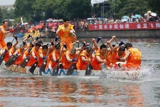 误区一：“端午赛龙舟=江南专属”？河南的“旱地龙舟”才野！