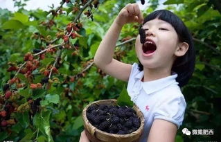 孕妇警报！豆角比胎教还重要？