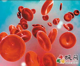 梦见衣服上粘有大粪预示着什么吉凶？