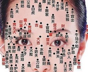 ：面相特征与成因机制的辩证关系