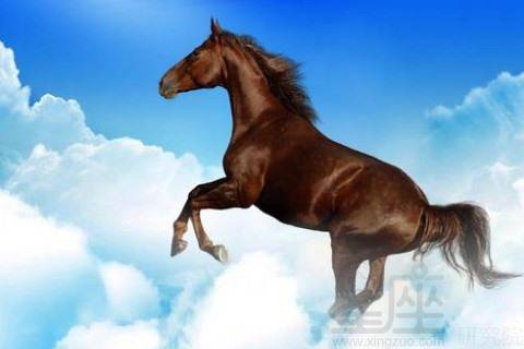 感情（炎热爱情）运势评估