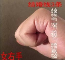 五、 生肖文化背景下对手相预测的补充说明