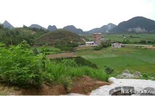 官星：龙脉的守护者与事业之象