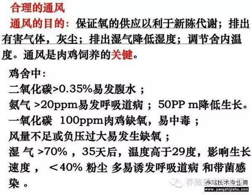 七、 “伤食”“克夫”风险因素及其调节方案