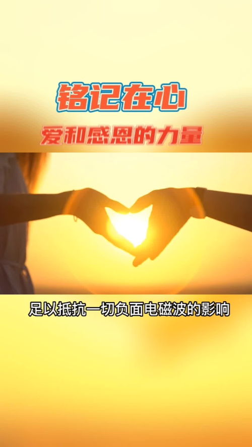 感恩生命与拥有的珍贵：积极心态的力量