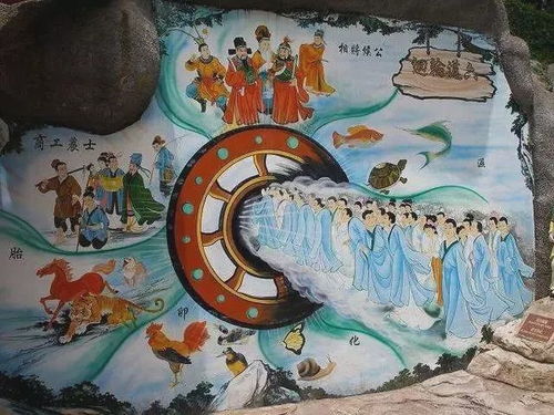 五、 仪轨选择及注意事项：精细化施行以求最佳效果